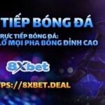 Xem trực tiếp bóng đá hôm nay tại 8xbet